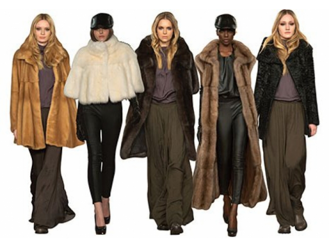 Фото компании