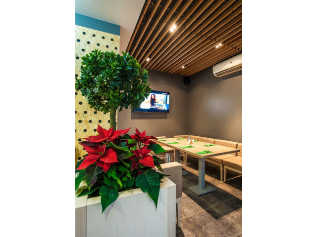 Фото компании