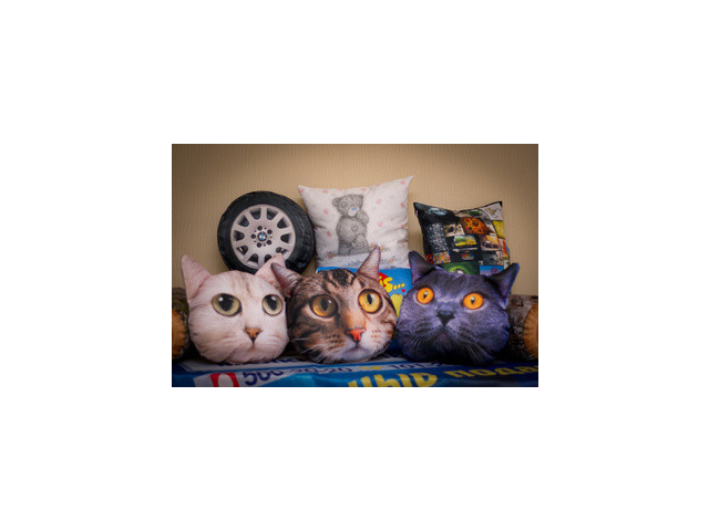 Фото компании