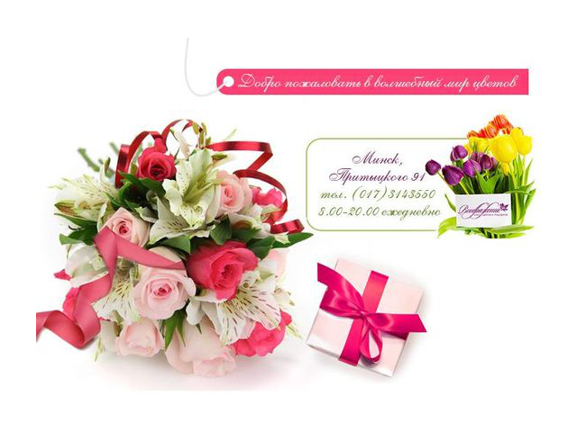 Фото компании