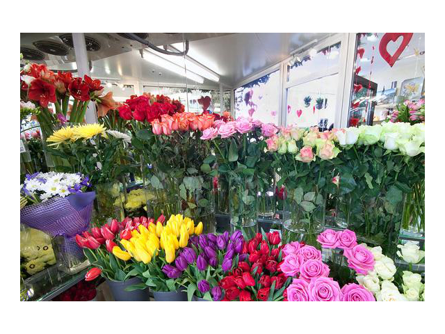 Фото компании