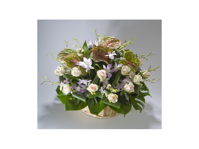 Фото компании