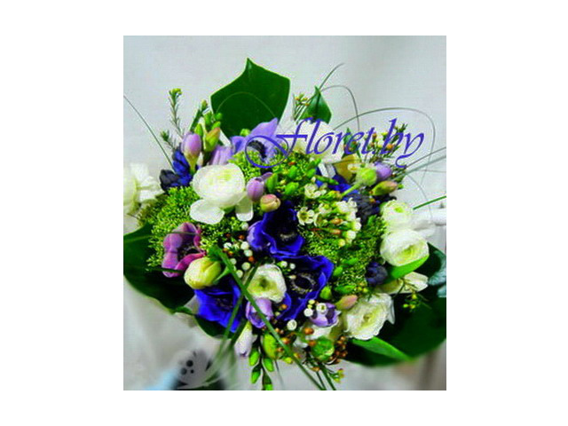 Фото компании