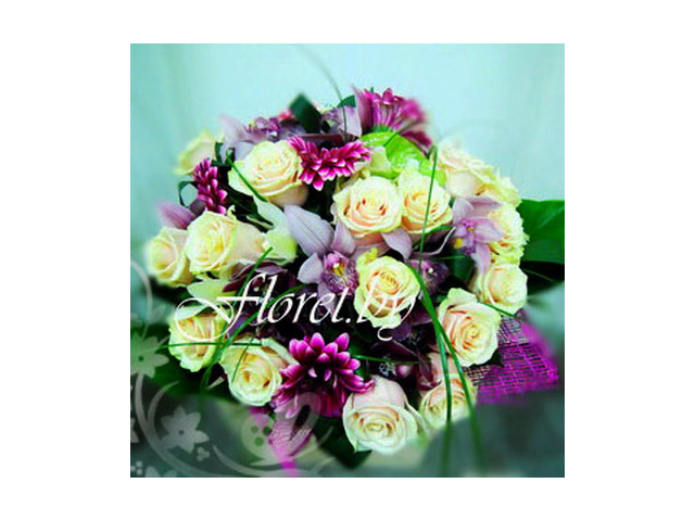 Фото компании