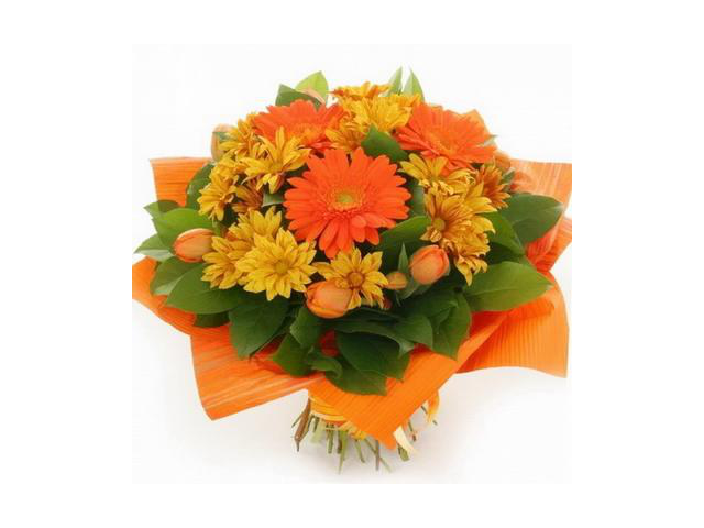 Фото компании