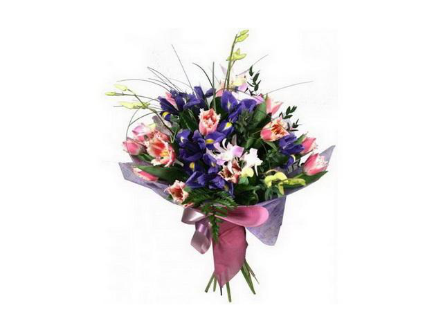 Фото компании