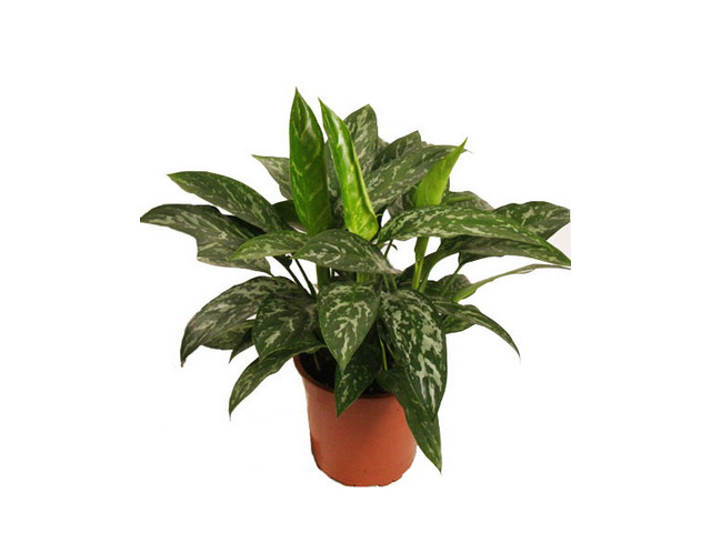 Фото компании