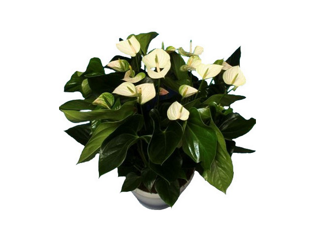 Фото компании