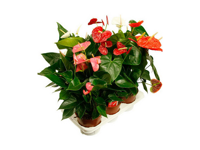 Фото компании