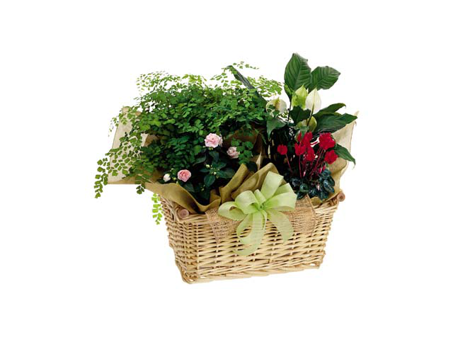 Фото компании