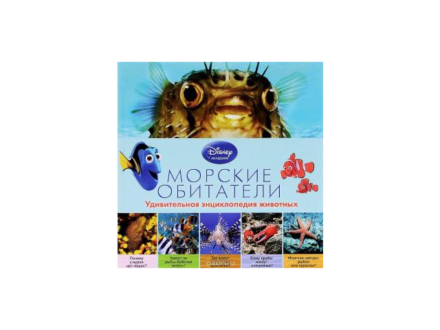 Фото компании