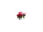 Букеты роз