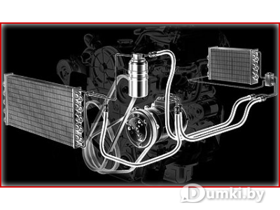 Фото компании