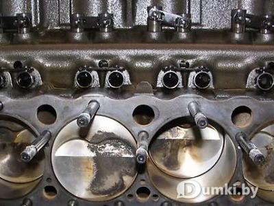 Фото компании