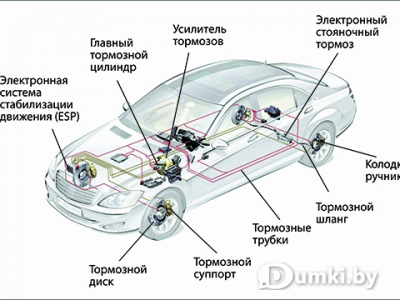 Фото компании