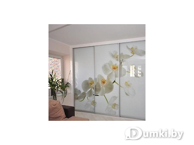 Фото компании