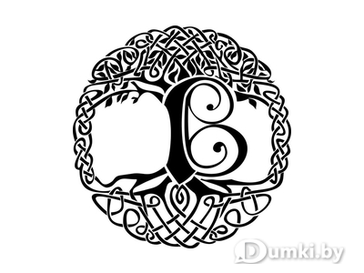 Фото компании