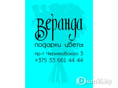 Фото компании