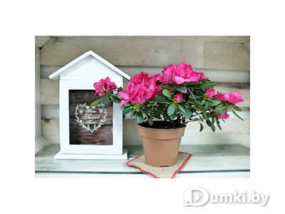 Фото компании