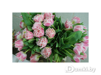 Фото компании