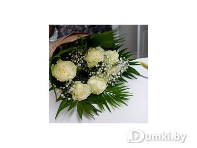 Фото компании