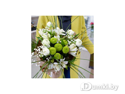 Фото компании