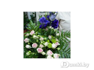 Фото компании