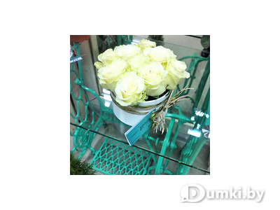 Фото компании