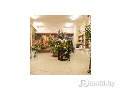 Фото компании