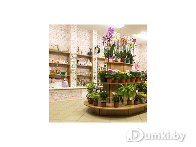 Фото компании