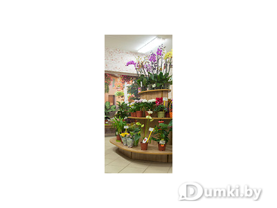 Фото компании