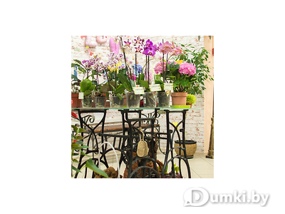 Фото компании