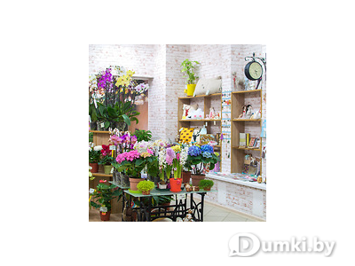 Фото компании