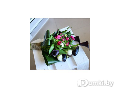 Фото компании