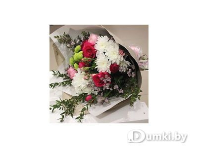 Фото компании