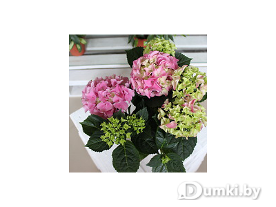 Фото компании