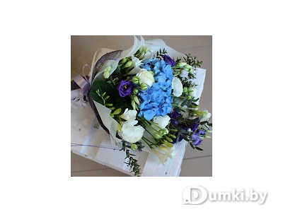 Фото компании