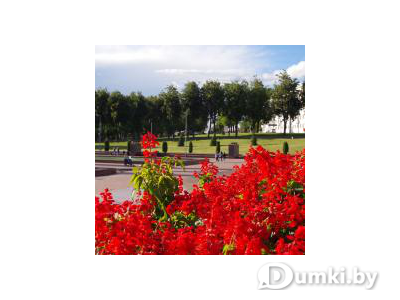 Фото компании