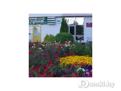 Фото компании