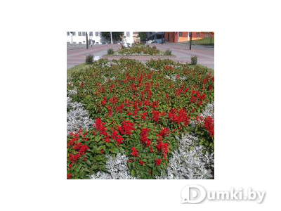 Фото компании