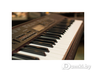 Фото компании