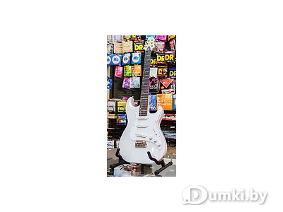 Фото компании