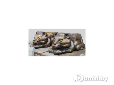 Фото компании