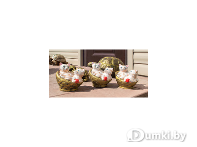 Фото компании