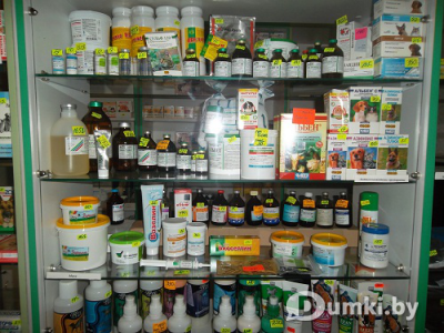 Фото компании