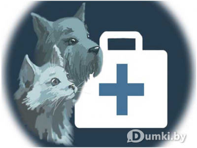 Фото компании