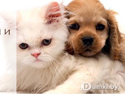 Фото компании