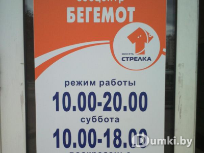 Фото компании