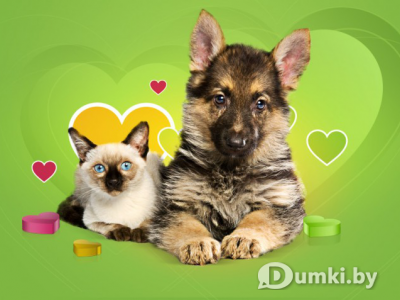 Фото компании