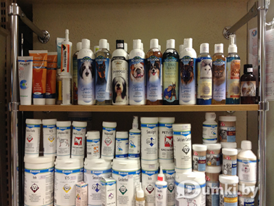 Фото компании